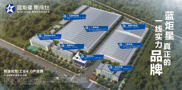 嵊州市市委副书记、市长严钢一行领导督察沐鸣2集成灶2019年重点建设项目