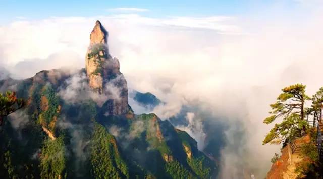 喜讯！江苏仙居叶总成功加盟沐鸣2