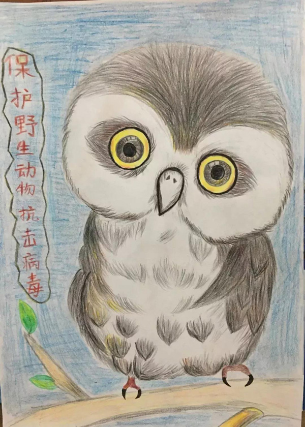 保护野生动物抗击病毒