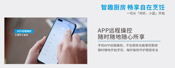 APP远程操控
