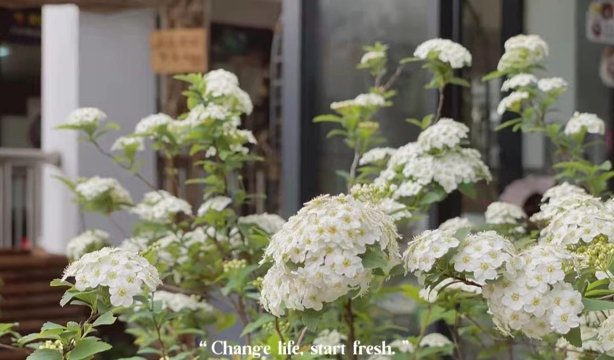 沐鸣2集成灶美好春天